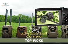 Best Affordable Trail Camera: Top Picks