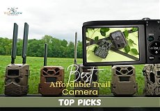 Best Affordable Trail Camera: Top Picks