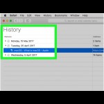 Web Browsing History